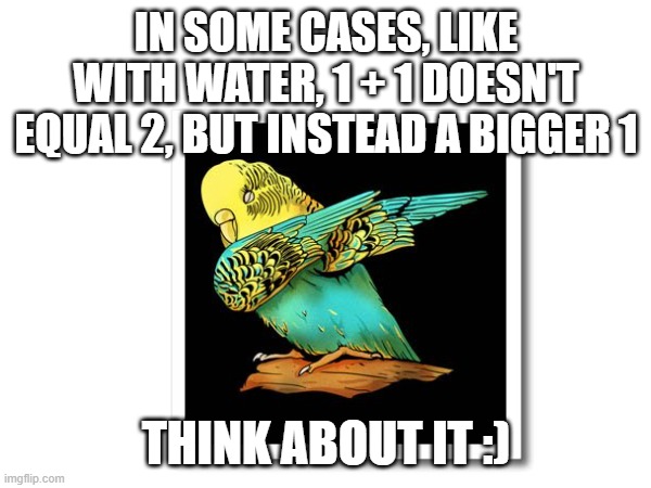 Just a thing I've been mulling over for the past week | IN SOME CASES, LIKE WITH WATER, 1 + 1 DOESN'T EQUAL 2, BUT INSTEAD A BIGGER 1; THINK ABOUT IT :) | image tagged in shower thoughts,change my mind,you have been eternally cursed for reading the tags | made w/ Imgflip meme maker