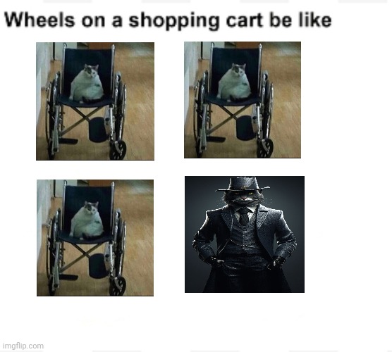 These shopping cart wheels be like Wheelchair cat | image tagged in wheels on a shopping cart be like | made w/ Imgflip meme maker