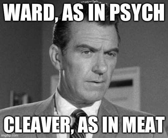 Not Happy Ward Cleaver | WARD, AS IN PSYCH; CLEAVER, AS IN MEAT | image tagged in not happy ward cleaver | made w/ Imgflip meme maker