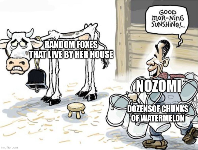 No, we will not feed foxes watermelon on watermelon wednesday | RANDOM FOXES THAT LIVE BY HER HOUSE; NOZOMI; DOZENSOF CHUNKS OF WATERMELON | image tagged in milking the cow | made w/ Imgflip meme maker