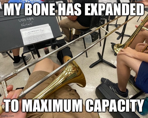 MY BONE HAS EXPANDED; TO MAXIMUM CAPACITY | made w/ Imgflip meme maker