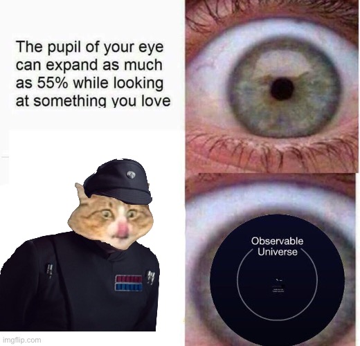 Imperial cat | image tagged in expanding eye | made w/ Imgflip meme maker