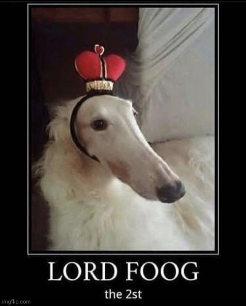 Behold....LORD FOOG THE 2ST!!! | image tagged in lord foog the 2st | made w/ Imgflip meme maker