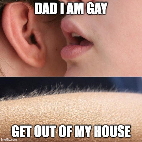 DON'T SUPPORT LGBTQ+ | DAD I AM GAY; GET OUT OF MY HOUSE | image tagged in whisper and goosebumps | made w/ Imgflip meme maker