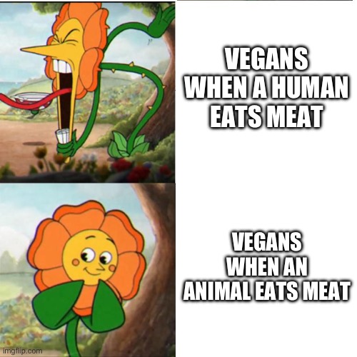 Cuphead Flower | VEGANS WHEN A HUMAN EATS MEAT; VEGANS WHEN AN ANIMAL EATS MEAT | image tagged in cuphead flower | made w/ Imgflip meme maker