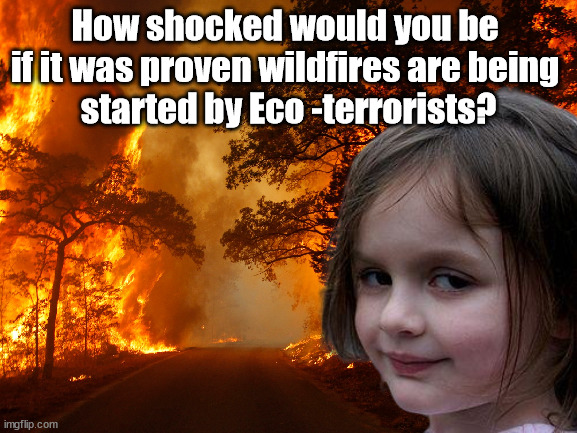 How shocked would you be if it was proven wildfires are being started by Eco -terrorists? | How shocked would you be 
if it was proven wildfires are being 
started by Eco -terrorists? | image tagged in disaster girl but it's wild fire,greenpeace,just stop oil,dale vince | made w/ Imgflip meme maker