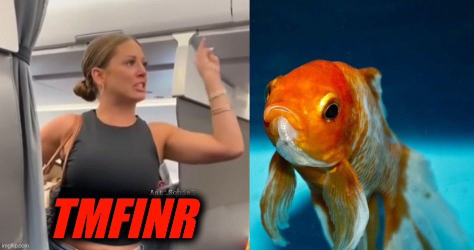 Fish Don't Exist | TMFINR; AntiSocial | image tagged in tmfinr lady on plane,science,fish | made w/ Imgflip meme maker
