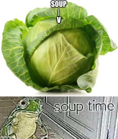soup. | SOUP
|
V | image tagged in cabbage,soup time,fresh memes | made w/ Imgflip meme maker