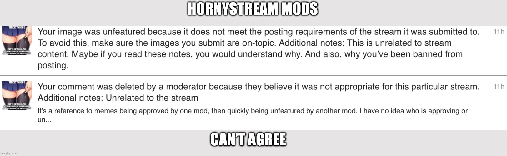 So I posted there as a joke, but… | HORNYSTREAM MODS; CAN’T AGREE | image tagged in mods,imgflip mods,hilarious | made w/ Imgflip meme maker