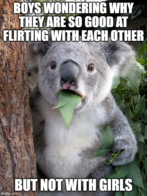 tru tho | BOYS WONDERING WHY THEY ARE SO GOOD AT FLIRTING WITH EACH OTHER; BUT NOT WITH GIRLS | image tagged in memes,surprised koala | made w/ Imgflip meme maker
