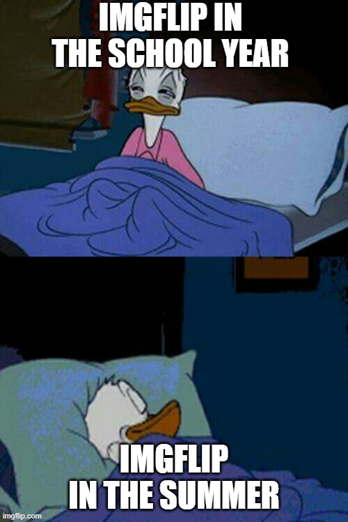 Very silent here | IMGFLIP IN THE SCHOOL YEAR; IMGFLIP IN THE SUMMER | image tagged in sleepy donald duck in bed | made w/ Imgflip meme maker
