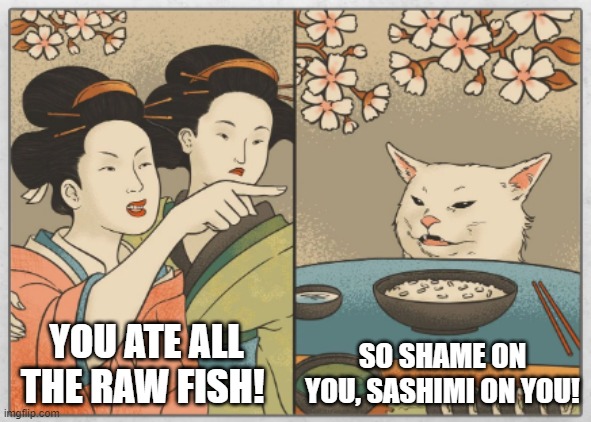 Japanese Women Yelling At Cat | SO SHAME ON YOU, SASHIMI ON YOU! YOU ATE ALL THE RAW FISH! | image tagged in japanese women,cat,two women yelling at a cat,sashimi | made w/ Imgflip meme maker