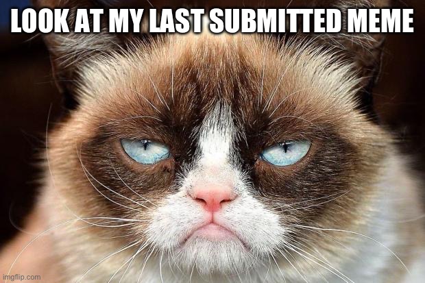 Grumpy cat glare | LOOK AT MY LAST SUBMITTED MEME | image tagged in grumpy cat glare | made w/ Imgflip meme maker