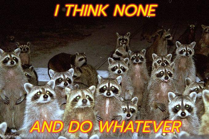 i think none and do whatever | I THINK NONE; AND DO WHATEVER | image tagged in raccoons | made w/ Imgflip meme maker