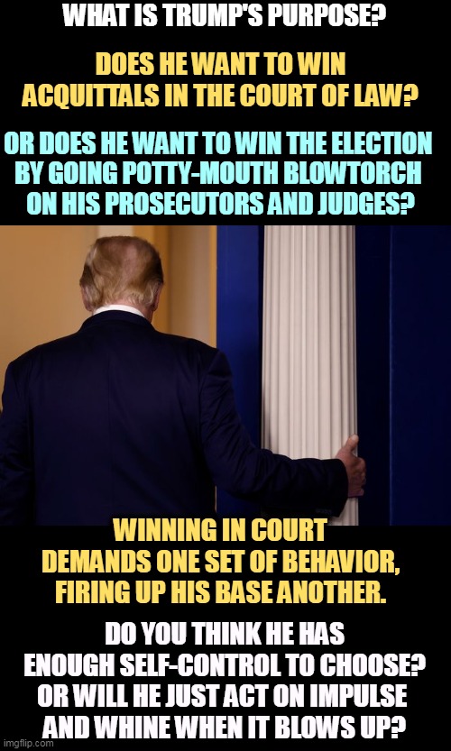 WHAT IS TRUMP'S PURPOSE? DOES HE WANT TO WIN ACQUITTALS IN THE COURT OF LAW? OR DOES HE WANT TO WIN THE ELECTION 
BY GOING POTTY-MOUTH BLOWTORCH 
ON HIS PROSECUTORS AND JUDGES? WINNING IN COURT DEMANDS ONE SET OF BEHAVIOR, FIRING UP HIS BASE ANOTHER. DO YOU THINK HE HAS ENOUGH SELF-CONTROL TO CHOOSE? OR WILL HE JUST ACT ON IMPULSE 
AND WHINE WHEN IT BLOWS UP? | image tagged in trump,purpose,trial,election,control,toddler | made w/ Imgflip meme maker