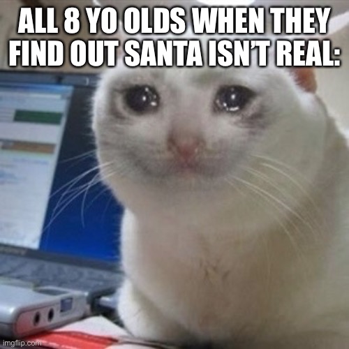 Crying cat | ALL 8 YO OLDS WHEN THEY FIND OUT SANTA ISN’T REAL: | image tagged in crying cat | made w/ Imgflip meme maker