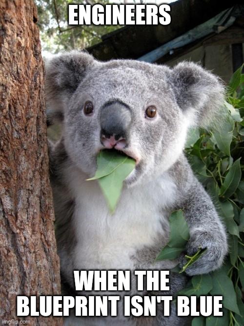 The blueprint isn't blue!!! | ENGINEERS; WHEN THE BLUEPRINT ISN'T BLUE | image tagged in memes,surprised koala | made w/ Imgflip meme maker