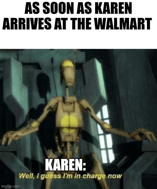Guess Karen is in charge | AS SOON AS KAREN ARRIVES AT THE WALMART; KAREN: | image tagged in well i guess i'm in charge now | made w/ Imgflip meme maker