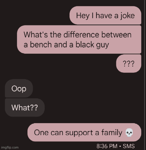 so I was texting my friend today... | image tagged in racist,funny,black people,bench,damnnnn you got roasted,holy crap | made w/ Imgflip meme maker