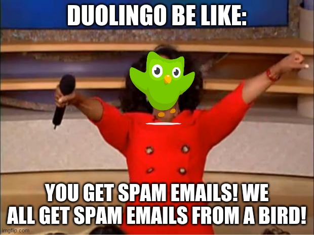 true | DUOLINGO BE LIKE:; YOU GET SPAM EMAILS! WE ALL GET SPAM EMAILS FROM A BIRD! | image tagged in memes,oprah you get a | made w/ Imgflip meme maker