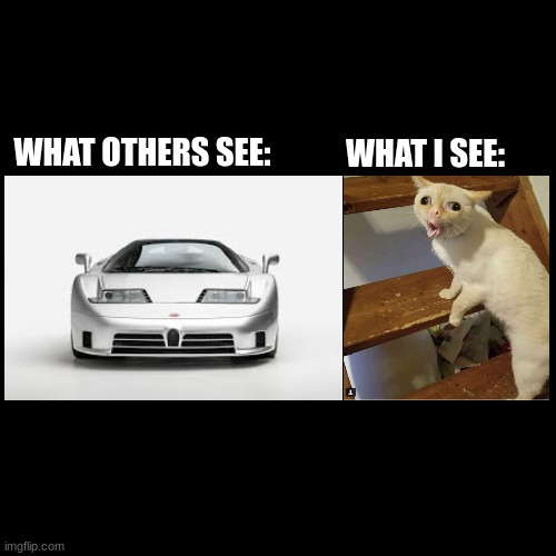 My thought process | WHAT OTHERS SEE:; WHAT I SEE: | image tagged in cars,coughing cat,bugatti | made w/ Imgflip meme maker