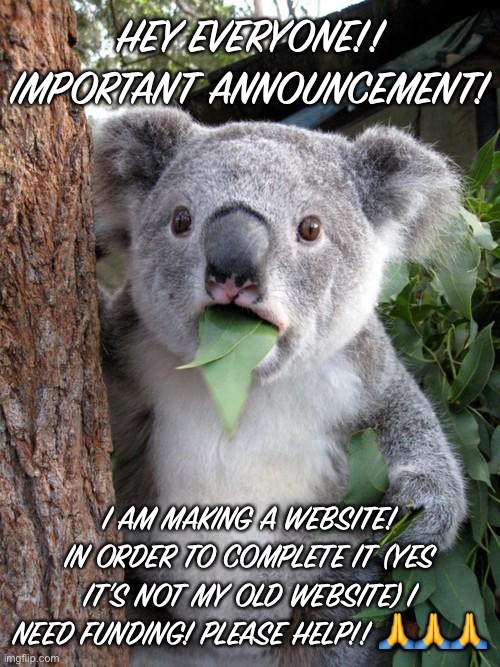 Surprised Koala | HEY EVERYONE!! IMPORTANT ANNOUNCEMENT! I AM MAKING A WEBSITE! IN ORDER TO COMPLETE IT (YES IT’S NOT MY OLD WEBSITE) I NEED FUNDING! PLEASE HELP!! 🙏🙏🙏 | image tagged in memes,surprised koala | made w/ Imgflip meme maker