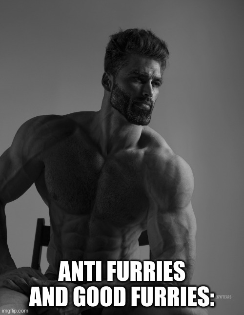 both anti furries and good furries are true men and women. brothers to the end. sorry for not posting for a while. I was busy. | ANTI FURRIES AND GOOD FURRIES: | image tagged in giga chad,furry,anti furry,chad,memes,facts | made w/ Imgflip meme maker