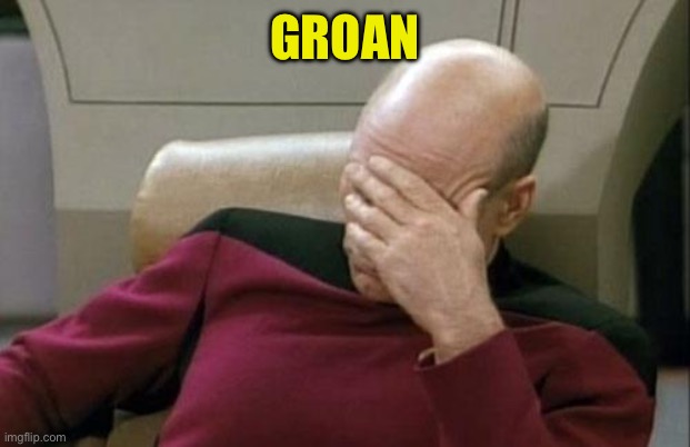 Captain Picard Facepalm Meme | GROAN | image tagged in memes,captain picard facepalm | made w/ Imgflip meme maker