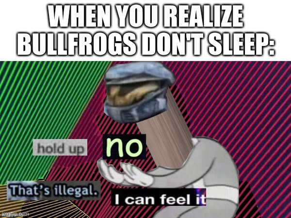 how is that even possible????? | WHEN YOU REALIZE BULLFROGS DON'T SLEEP: | image tagged in memes,funny,fun,relatable,blank white template,front page | made w/ Imgflip meme maker