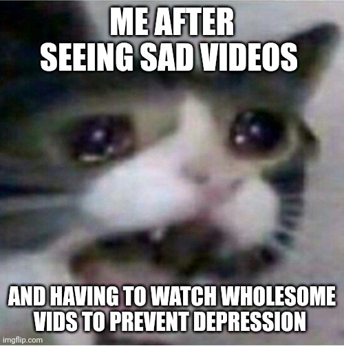 crying cat | ME AFTER SEEING SAD VIDEOS; AND HAVING TO WATCH WHOLESOME VIDS TO PREVENT DEPRESSION | image tagged in crying cat | made w/ Imgflip meme maker