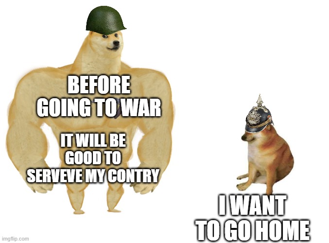 GOING TO WAR | BEFORE GOING TO WAR; IT WILL BE GOOD TO SERVEVE MY CONTRY; I WANT TO GO HOME | image tagged in big dog small dog | made w/ Imgflip meme maker