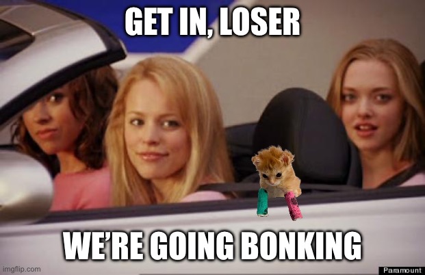 We’re going bonking | GET IN, LOSER; WE’RE GOING BONKING | image tagged in get in loser | made w/ Imgflip meme maker