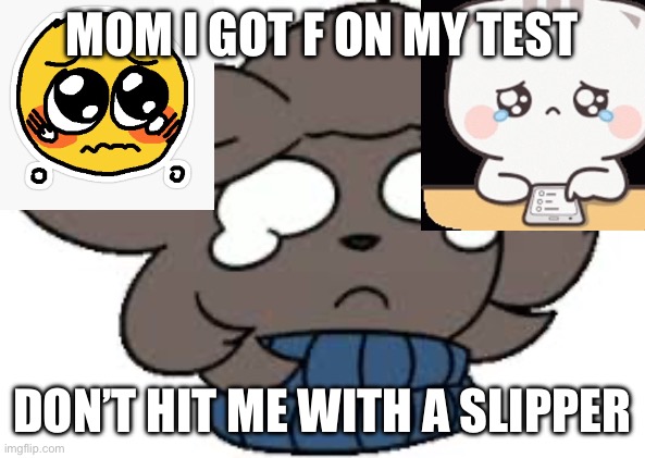 I got an f on my test | MOM I GOT F ON MY TEST; DON’T HIT ME WITH A SLIPPER | image tagged in /furry /crying /cats | made w/ Imgflip meme maker