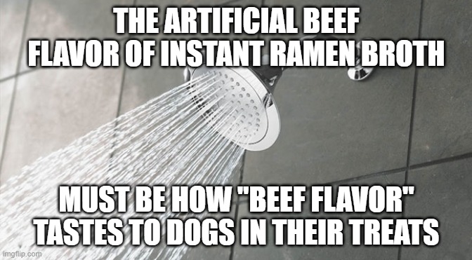 "Why must you TREAT me like this?" | THE ARTIFICIAL BEEF FLAVOR OF INSTANT RAMEN BROTH; MUST BE HOW "BEEF FLAVOR" TASTES TO DOGS IN THEIR TREATS | image tagged in shower thoughts | made w/ Imgflip meme maker