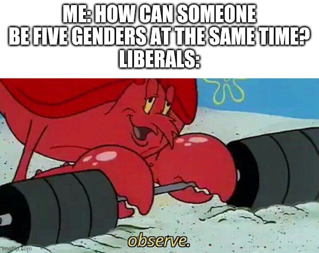 Don't know how they do it tho | ME: HOW CAN SOMEONE BE FIVE GENDERS AT THE SAME TIME?
LIBERALS: | image tagged in observe | made w/ Imgflip meme maker
