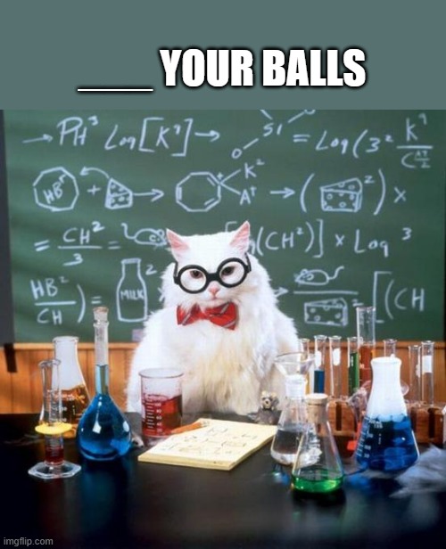 Chemistry Cat Meme | ___ YOUR BALLS | image tagged in memes,chemistry cat | made w/ Imgflip meme maker