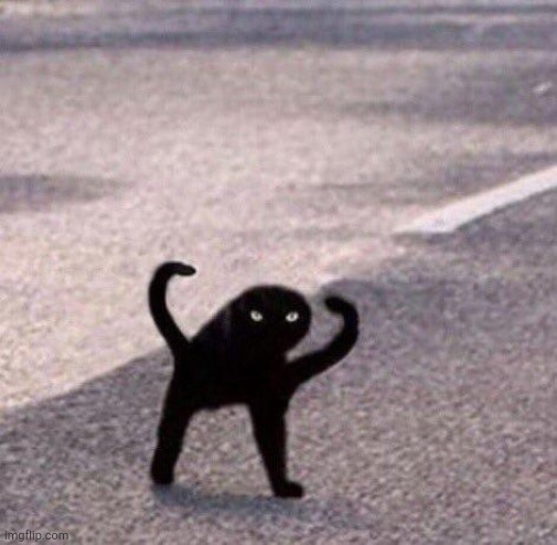 Cursed cat temp | image tagged in cursed cat temp | made w/ Imgflip meme maker