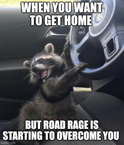 I can feel the road rage beginning to overwhelm me!!! | WHEN YOU WANT TO GET HOME; BUT ROAD RAGE IS STARTING TO OVERCOME YOU | image tagged in raccoon driving car | made w/ Imgflip meme maker