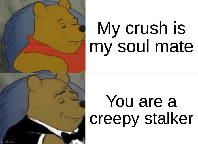 my crush | My crush is my soul mate; You are a creepy stalker | image tagged in memes,tuxedo winnie the pooh | made w/ Imgflip meme maker
