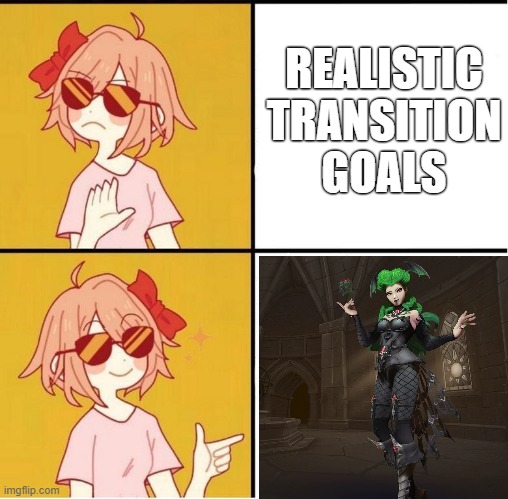 Just got into Paladin's again, decided to make this. | REALISTIC TRANSITION GOALS | image tagged in sayori drake,transgender | made w/ Imgflip meme maker