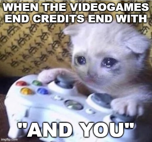 so so sad | WHEN THE VIDEOGAMES END CREDITS END WITH; "AND YOU" | image tagged in cat sad controller | made w/ Imgflip meme maker