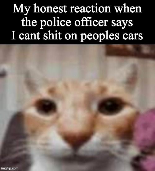 My honest reaction when the police officer says I cant shit on peoples cars | made w/ Imgflip meme maker