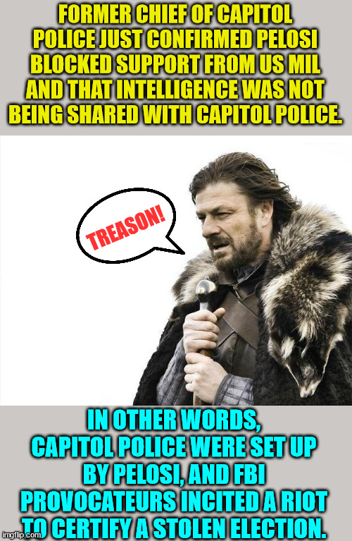 Treason | FORMER CHIEF OF CAPITOL POLICE JUST CONFIRMED PELOSI BLOCKED SUPPORT FROM US MIL AND THAT INTELLIGENCE WAS NOT BEING SHARED WITH CAPITOL POLICE. TREASON! IN OTHER WORDS, CAPITOL POLICE WERE SET UP BY PELOSI, AND FBI PROVOCATEURS INCITED A RIOT TO CERTIFY A STOLEN ELECTION. | image tagged in memes,brace yourselves x is coming,democrats,rino,traitors | made w/ Imgflip meme maker