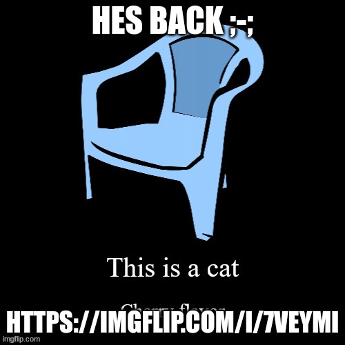 https://imgflip.com/i/7veymi | HES BACK ;-;; HTTPS://IMGFLIP.COM/I/7VEYMI | image tagged in this is a cat | made w/ Imgflip meme maker
