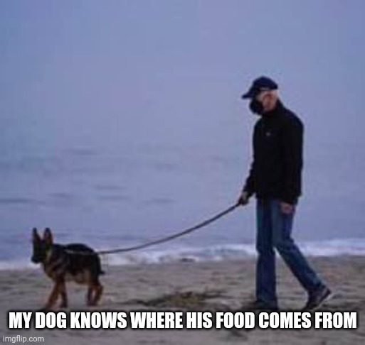 Biden walking dog | MY DOG KNOWS WHERE HIS FOOD COMES FROM | image tagged in biden walking dog | made w/ Imgflip meme maker