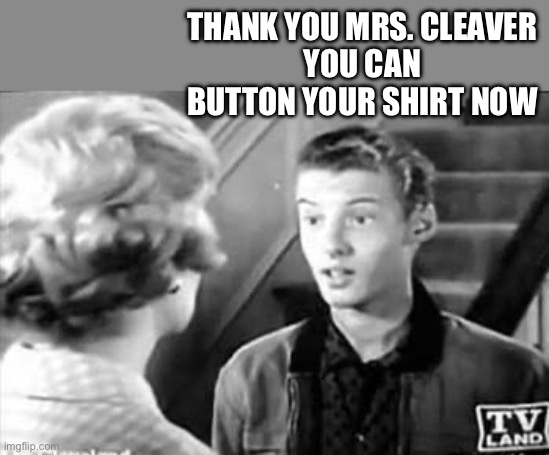 Eddie Haskell | THANK YOU MRS. CLEAVER
YOU CAN BUTTON YOUR SHIRT NOW | image tagged in eddie haskell | made w/ Imgflip meme maker
