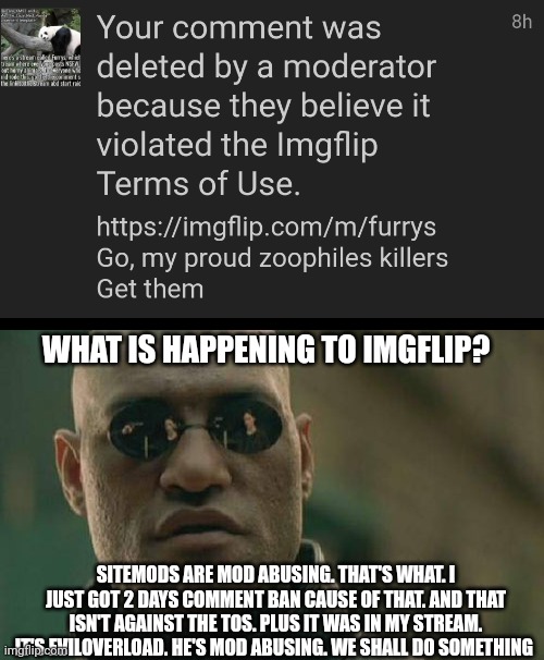 Bruh. | WHAT IS HAPPENING TO IMGFLIP? SITEMODS ARE MOD ABUSING. THAT'S WHAT. I JUST GOT 2 DAYS COMMENT BAN CAUSE OF THAT. AND THAT ISN'T AGAINST THE TOS. PLUS IT WAS IN MY STREAM. IT'S EVILOVERLOAD. HE'S MOD ABUSING. WE SHALL DO SOMETHING | image tagged in memes,matrix morpheus,sad,mod abuse,comment,ban | made w/ Imgflip meme maker