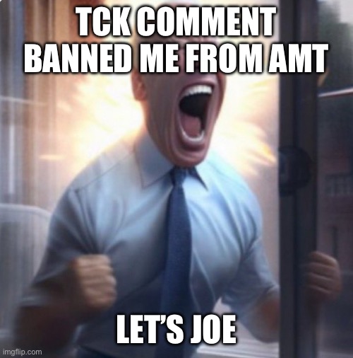 Biden Lets Go | TCK COMMENT BANNED ME FROM AMT; LET’S JOE | image tagged in biden lets go,lets joe,let s joe | made w/ Imgflip meme maker