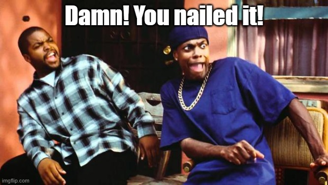 Ice Cube Damn | Damn! You nailed it! | image tagged in ice cube damn | made w/ Imgflip meme maker
