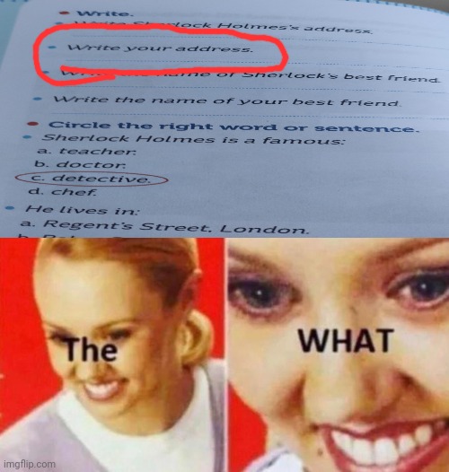 Found this in my homework book today... Im skipping this page *__* | image tagged in the what,memes,what,homework,school,funny | made w/ Imgflip meme maker